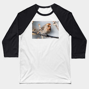 Mr. finch Baseball T-Shirt